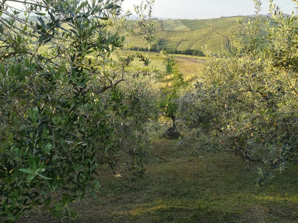 Agriturismo La Ruelle Villa Atessa Ngoại thất bức ảnh